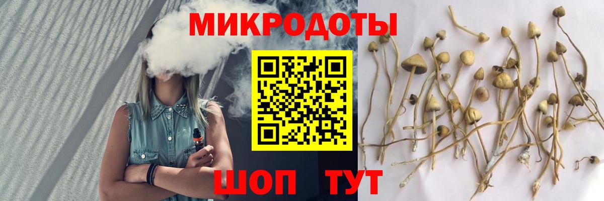 Галлюциногенные грибы мухоморы  Вход с VPN  Туймазы  Псилоцибиновые грибы Psilocybe 